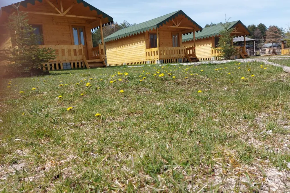 Camping farm Shelegur