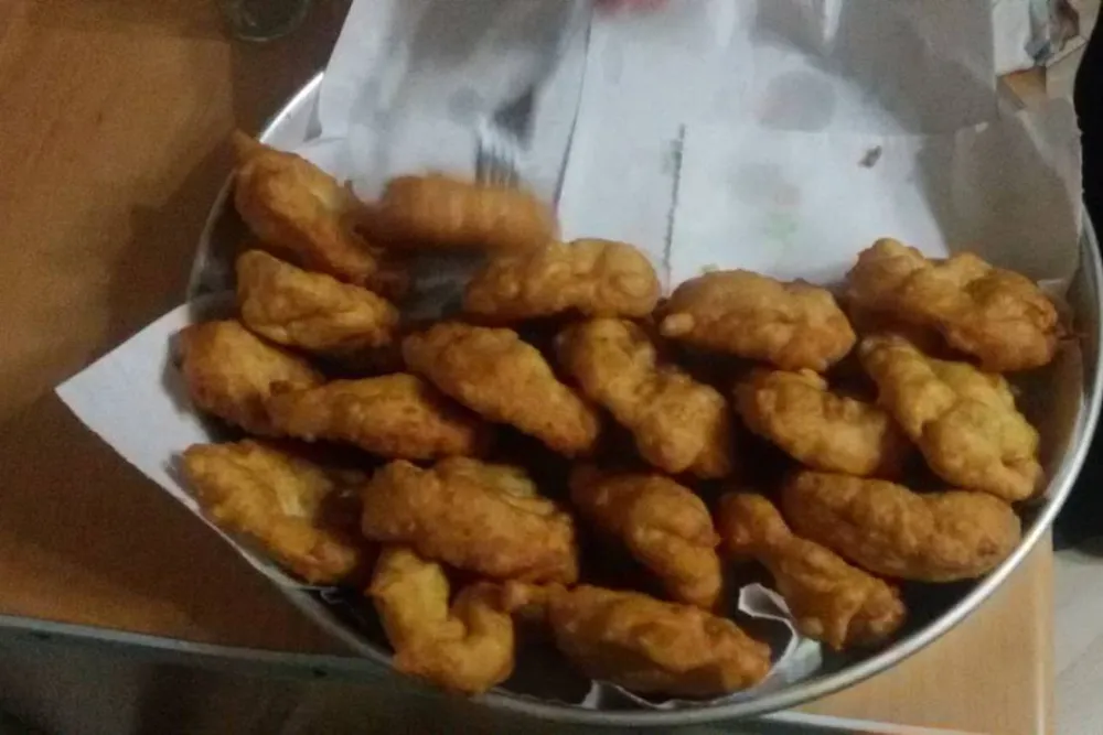 Camping farm Shelegur