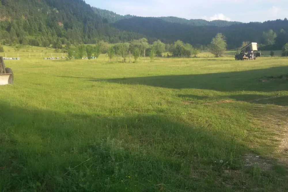 Camping farm Shelegur