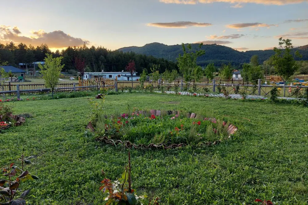 Camping farm Shelegur