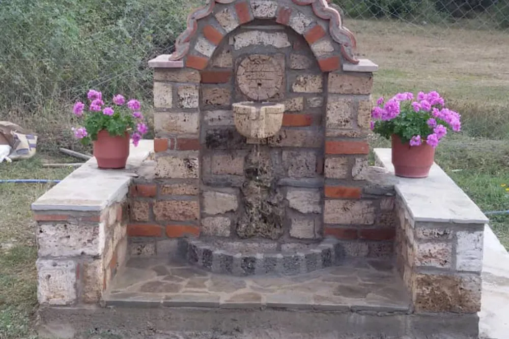 Camping farm Shelegur