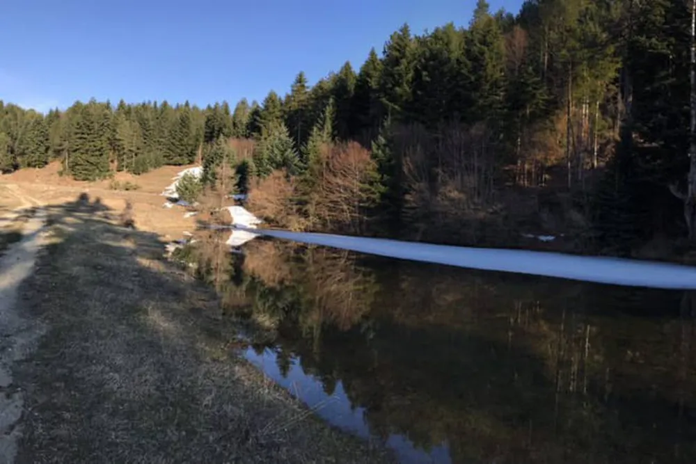 Camping farm Shelegur