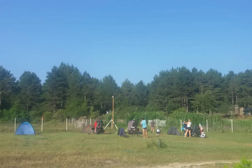 Camping farm Shelegur