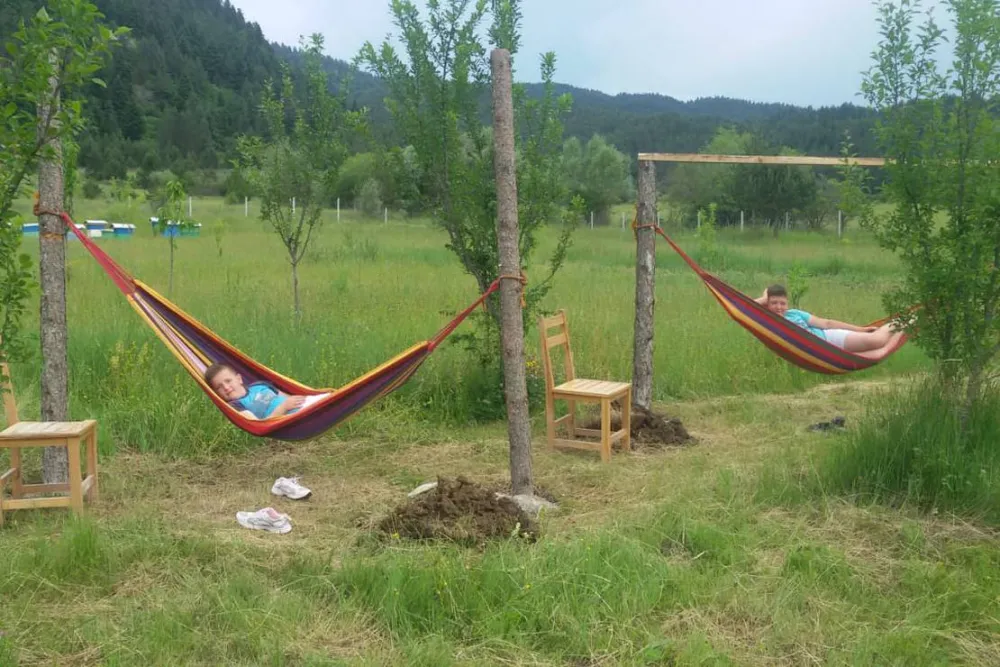 Camping farm Shelegur