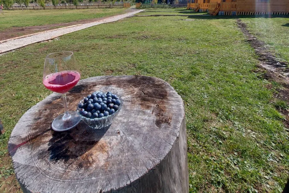 Camping farm Shelegur