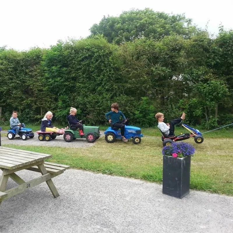 Mini-camping Weilust