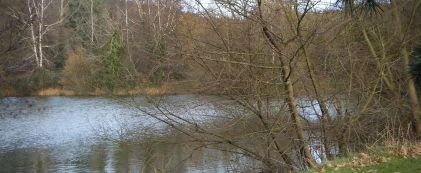 Ferme de l' Esperence (Forest View)