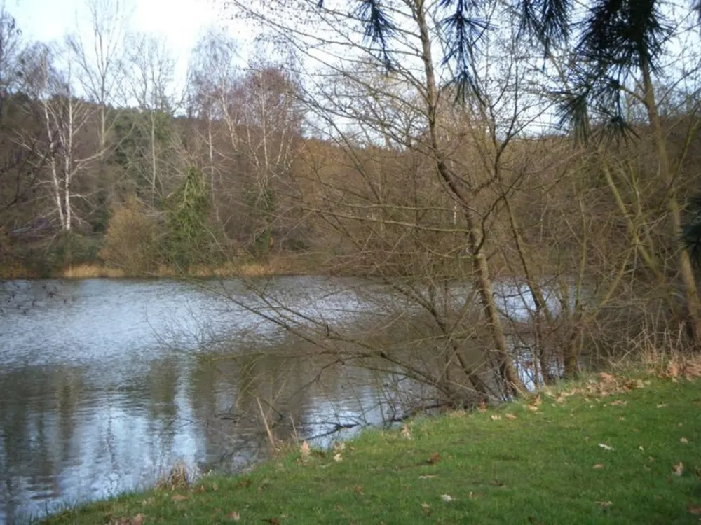 Ferme de l' Esperence (Forest View)