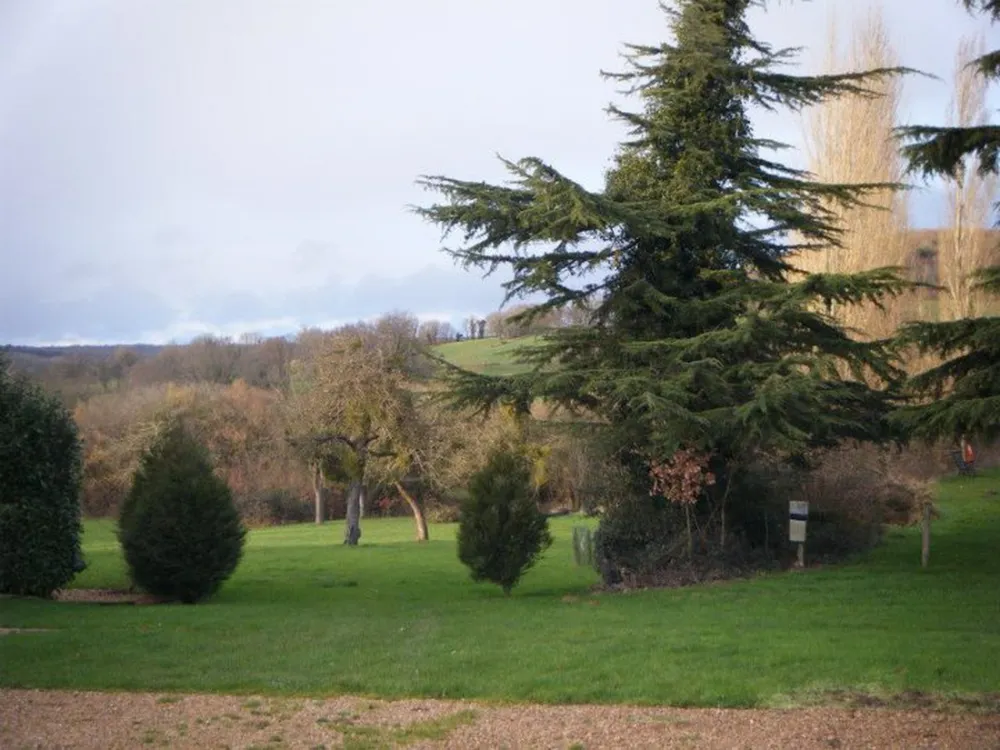Ferme de l' Esperence (Forest View)
