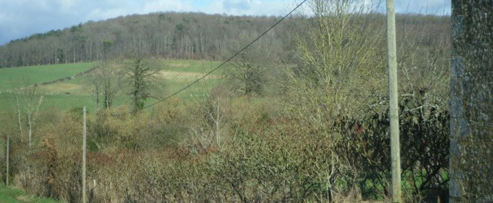 Ferme de l' Esperence (Forest View)