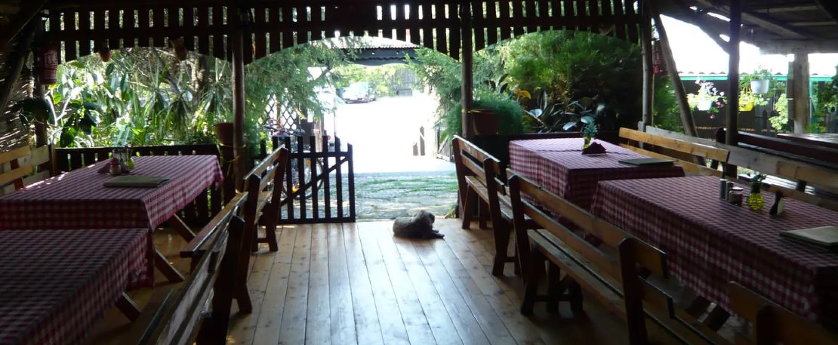 Camping Robinson Country