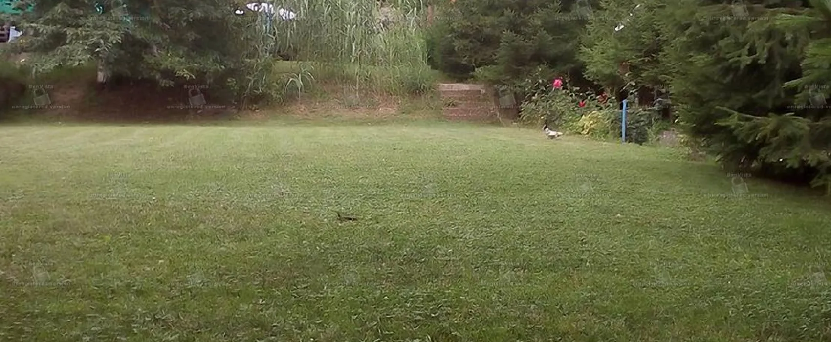 Camping Robinson Country