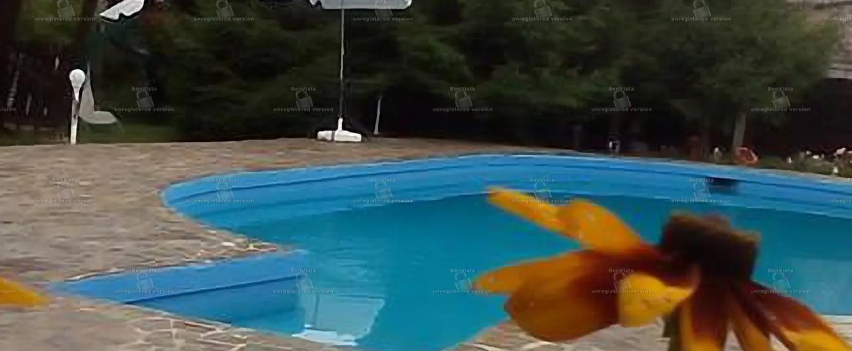 Camping Robinson Country