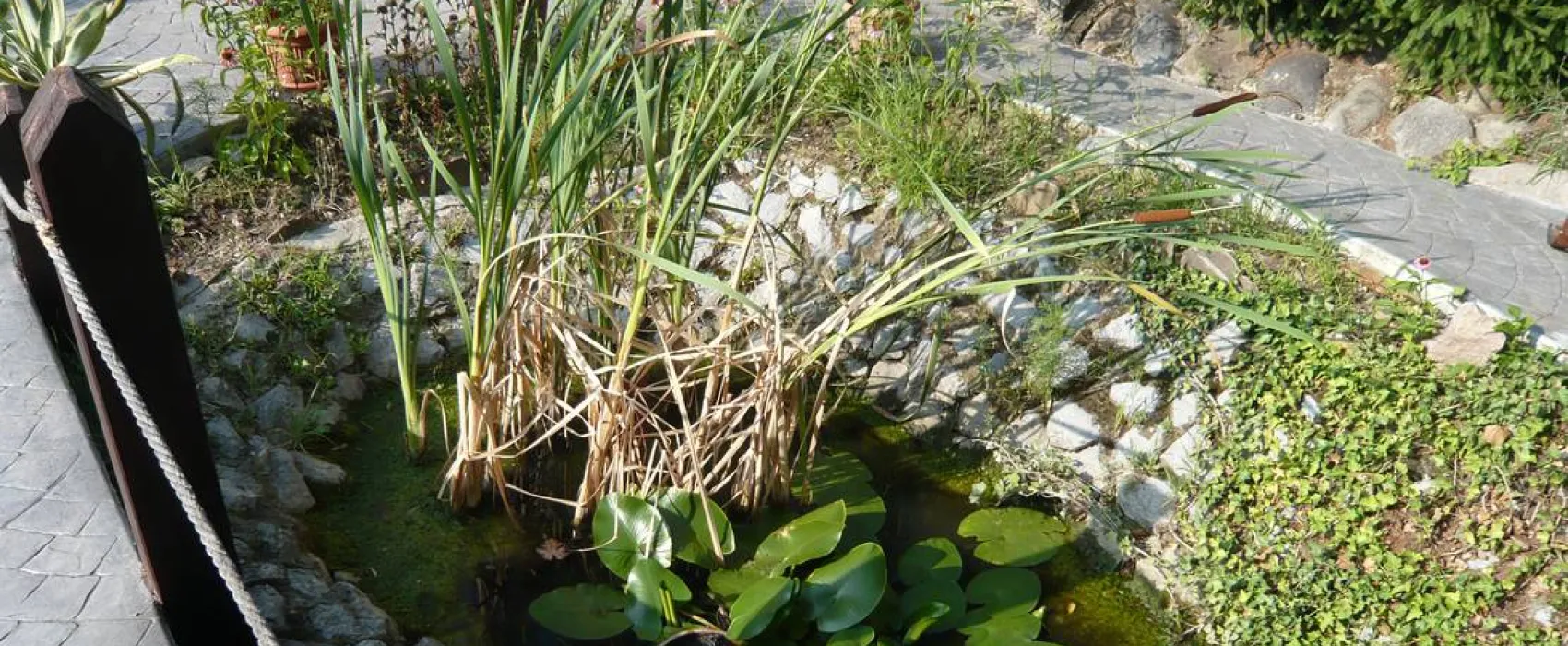 Camping Robinson Country