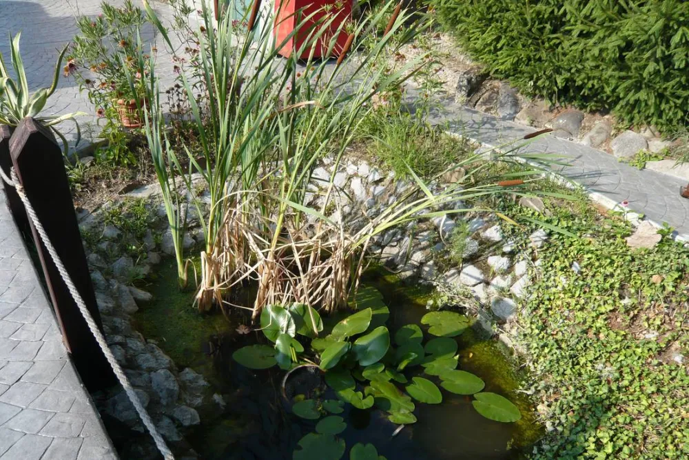 Camping Robinson Country