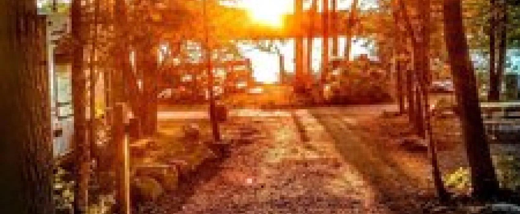 Loon's Haven Family Campground