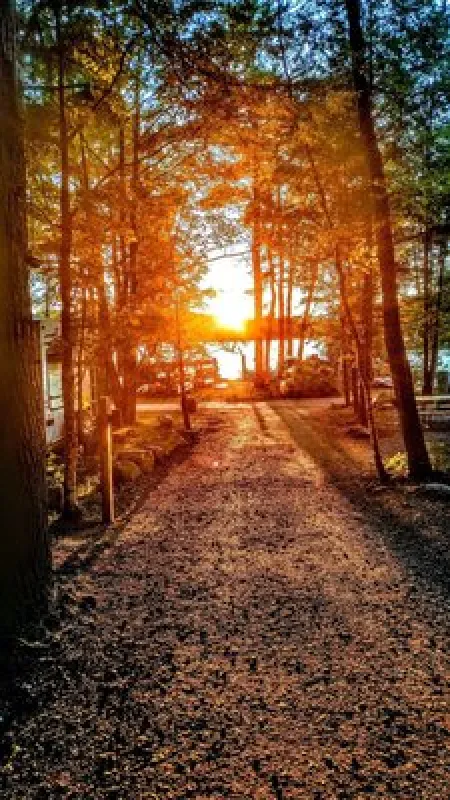 Loon's Haven Family Campground