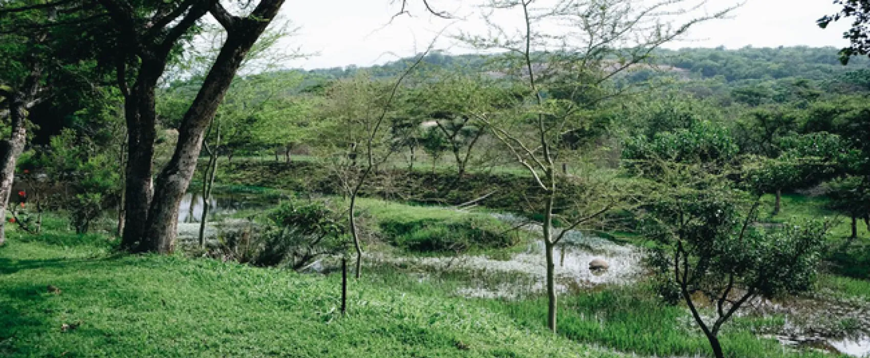Rockview Lodge Campsite