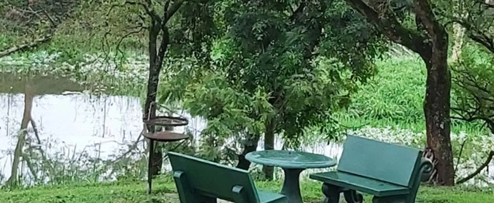 Rockview Lodge Campsite