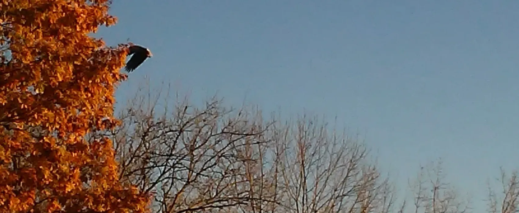 Farmer Gene's Campground LLC