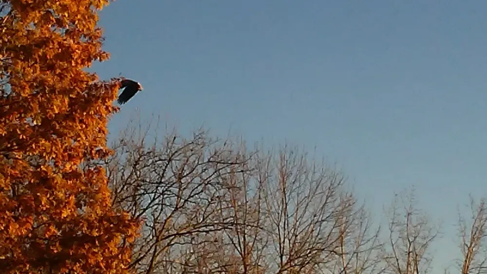 Farmer Gene's Campground LLC