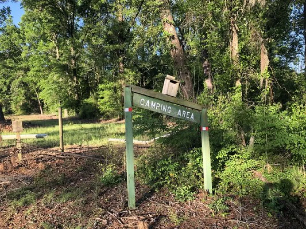 Pine Hill Campground