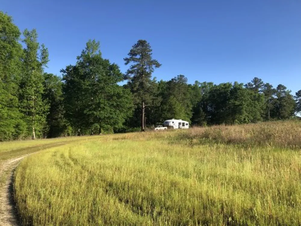 Pine Hill Campground