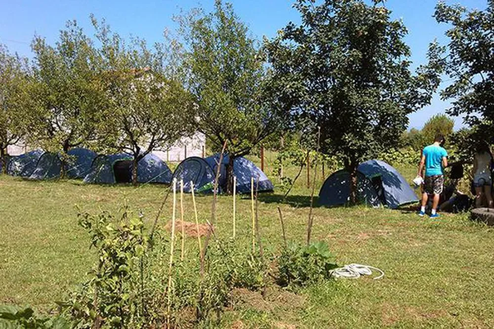 Eco Community Garden Camping