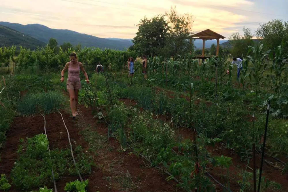 Eco Community Garden Camping