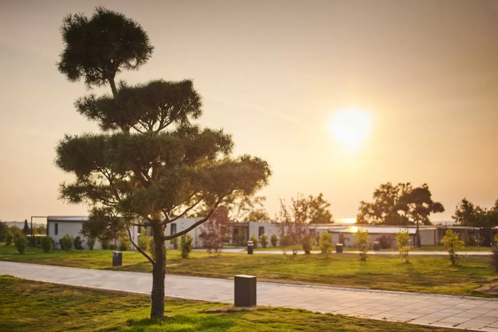 SAN SERVOLO WELLNESS CAMPING