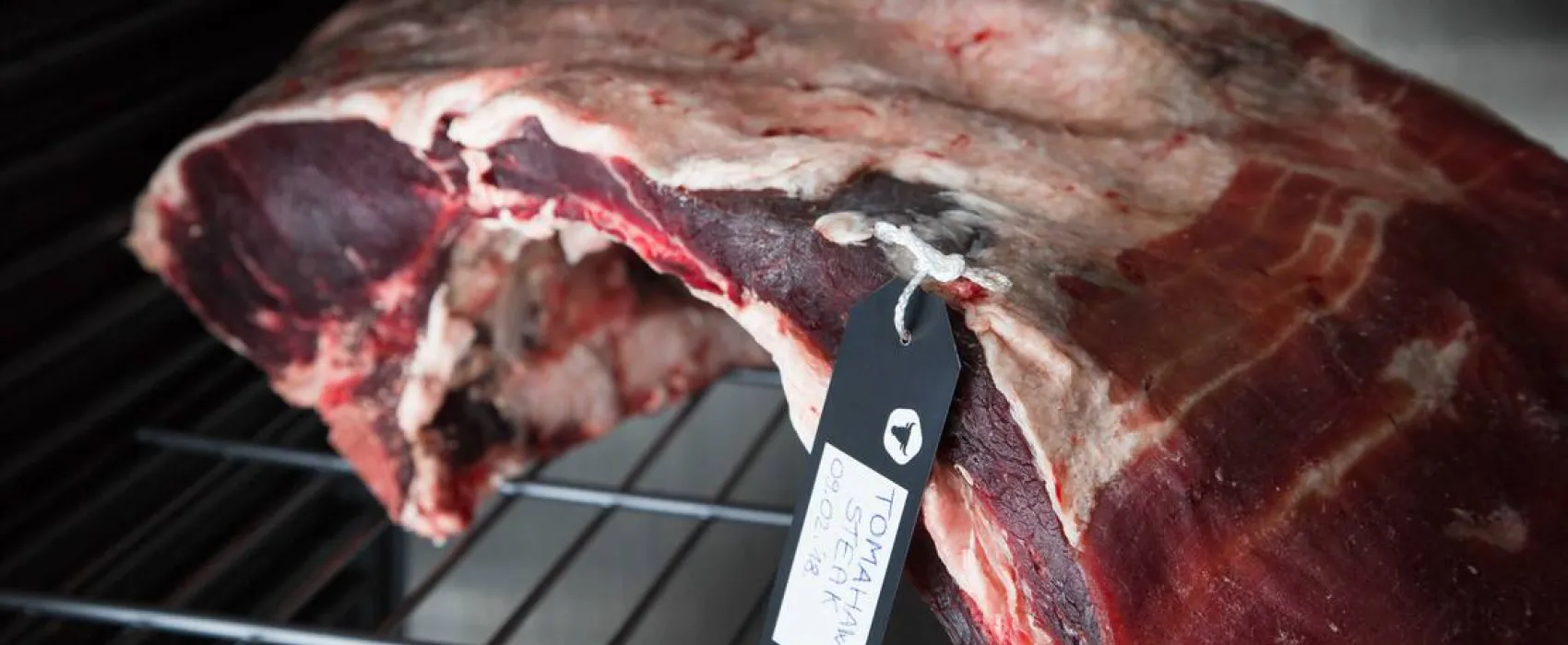 SAN SERVOLO WELLNESS CAMPING