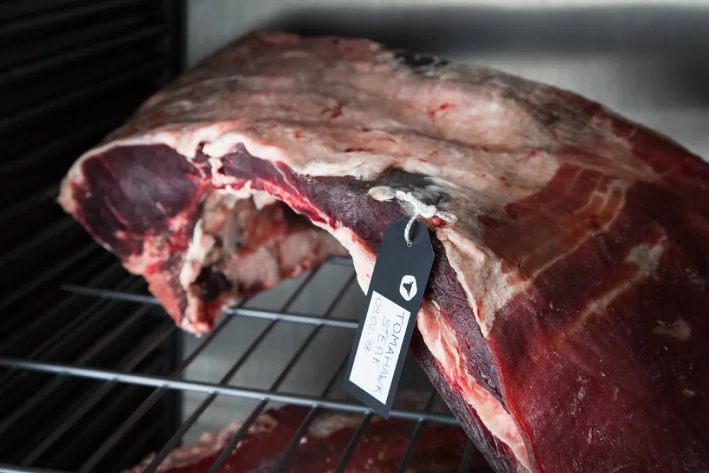 SAN SERVOLO WELLNESS CAMPING