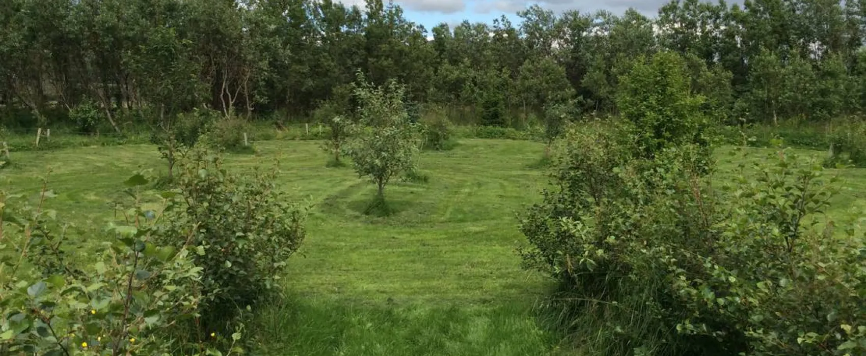 Mosskógar Camping Iceland