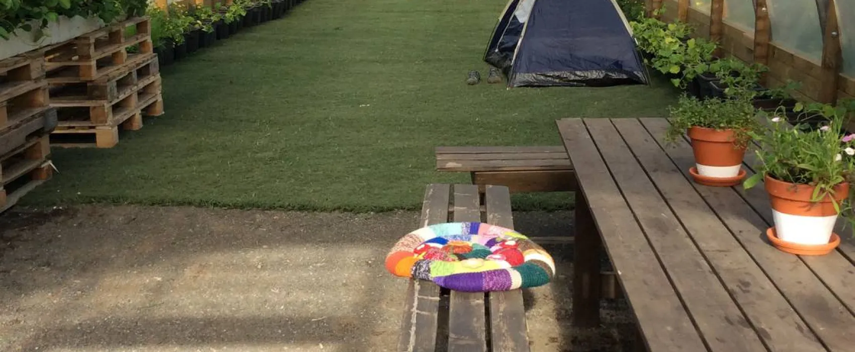 Mosskógar Camping Iceland