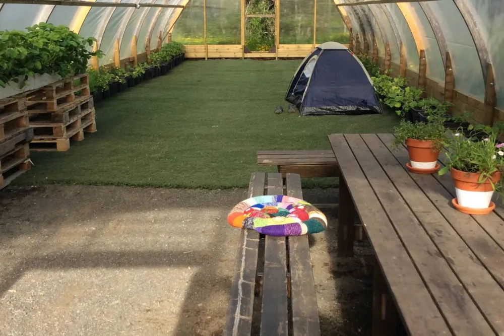 Mosskógar Camping Iceland