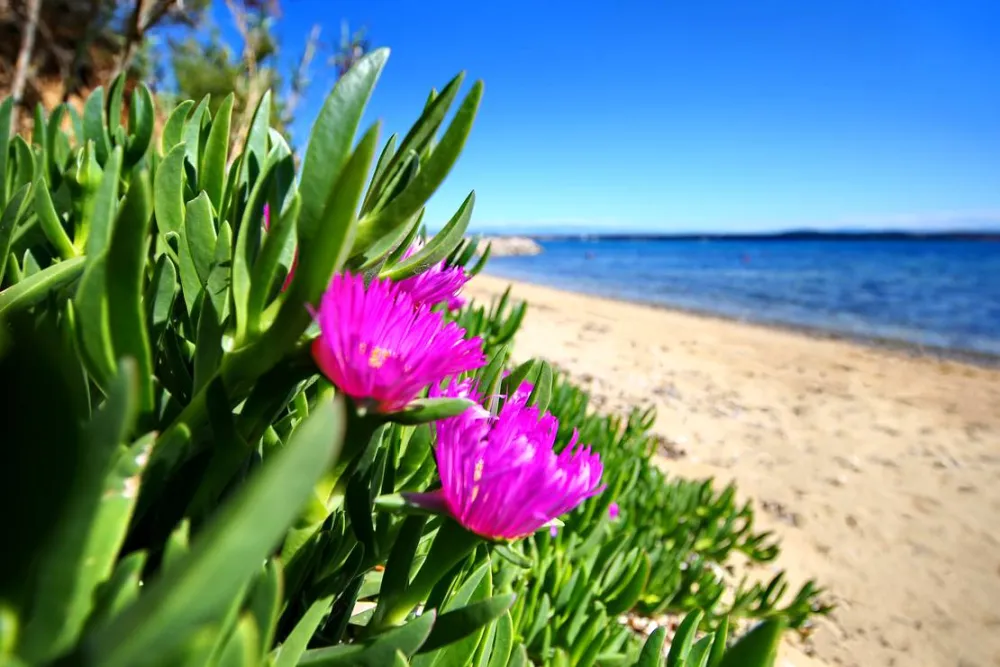 Naturist Camping FKK Sovinje