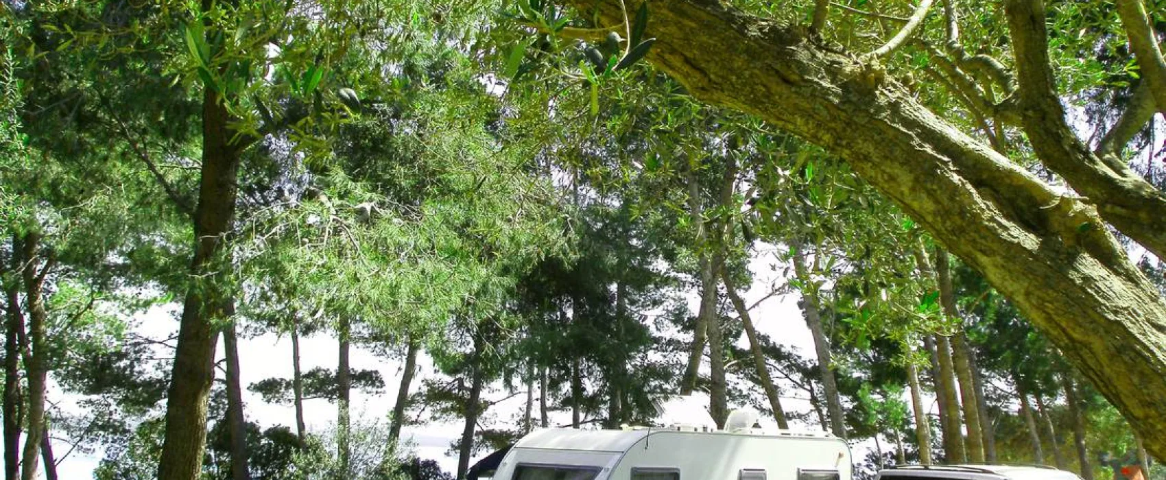 Naturist Camping FKK Sovinje