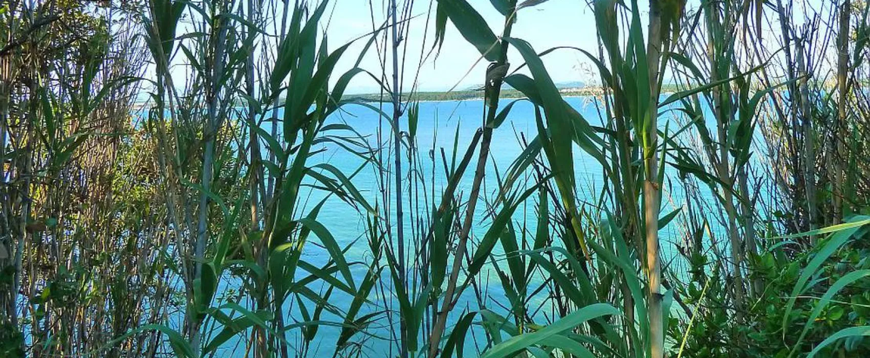 Naturist Camping FKK Sovinje