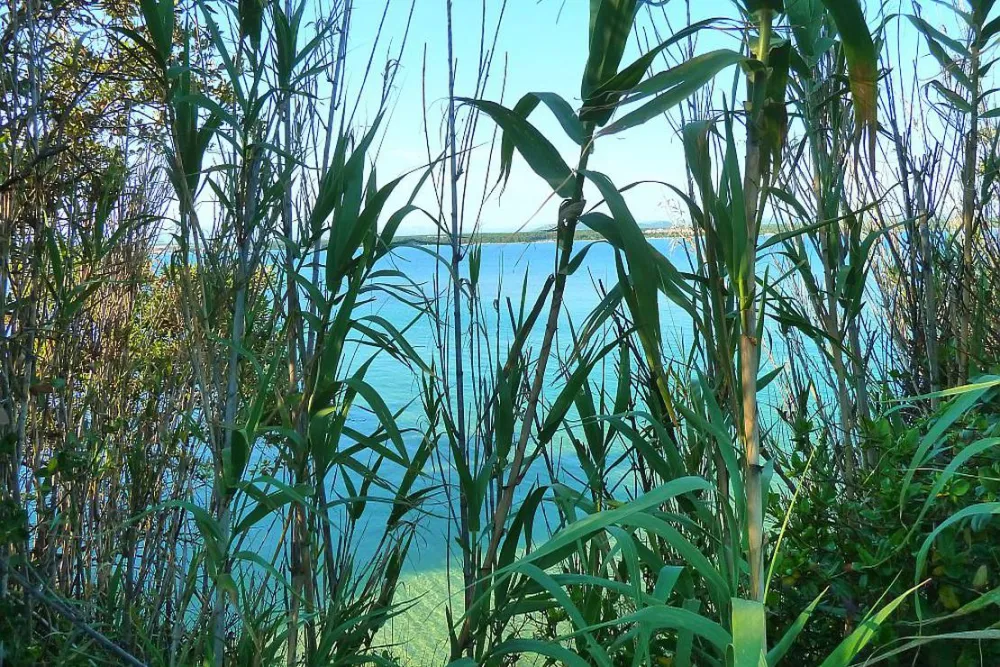 Naturist Camping FKK Sovinje