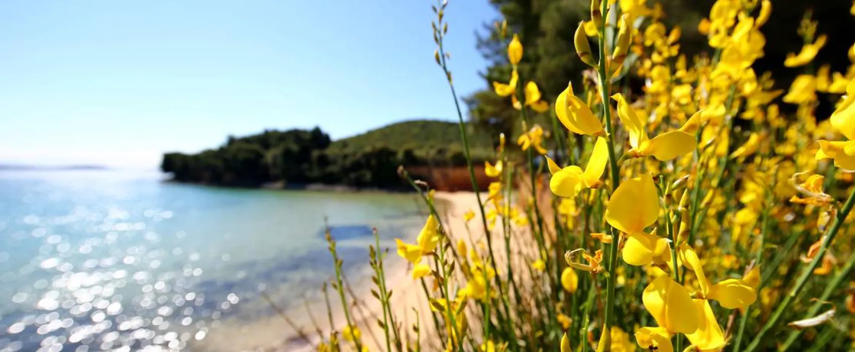 Naturist Camping FKK Sovinje