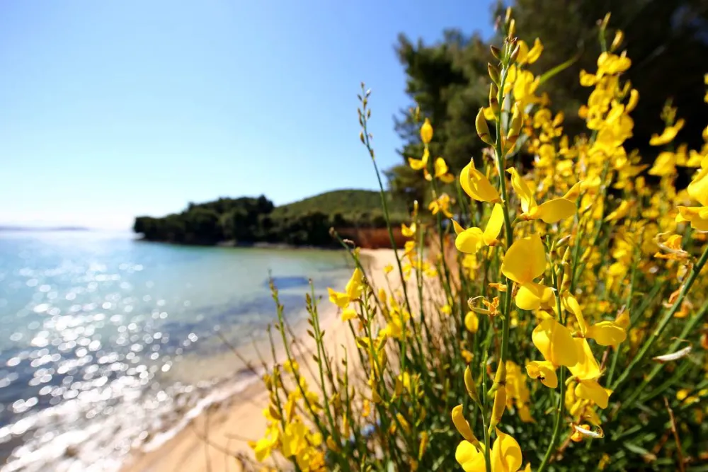 Naturist Camping FKK Sovinje