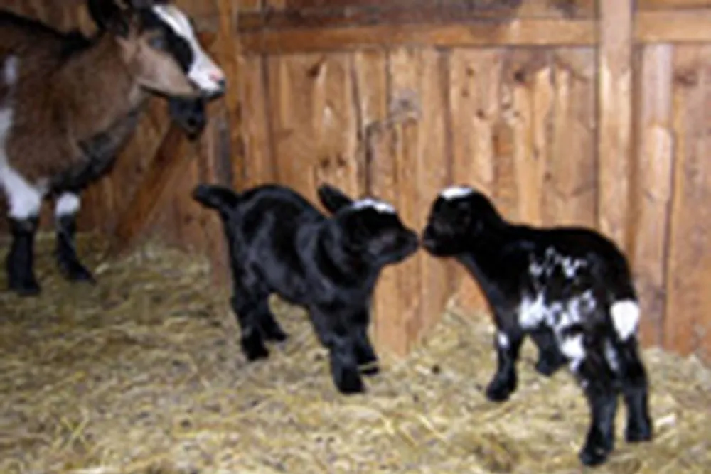 Campingplatz Sonnenhof