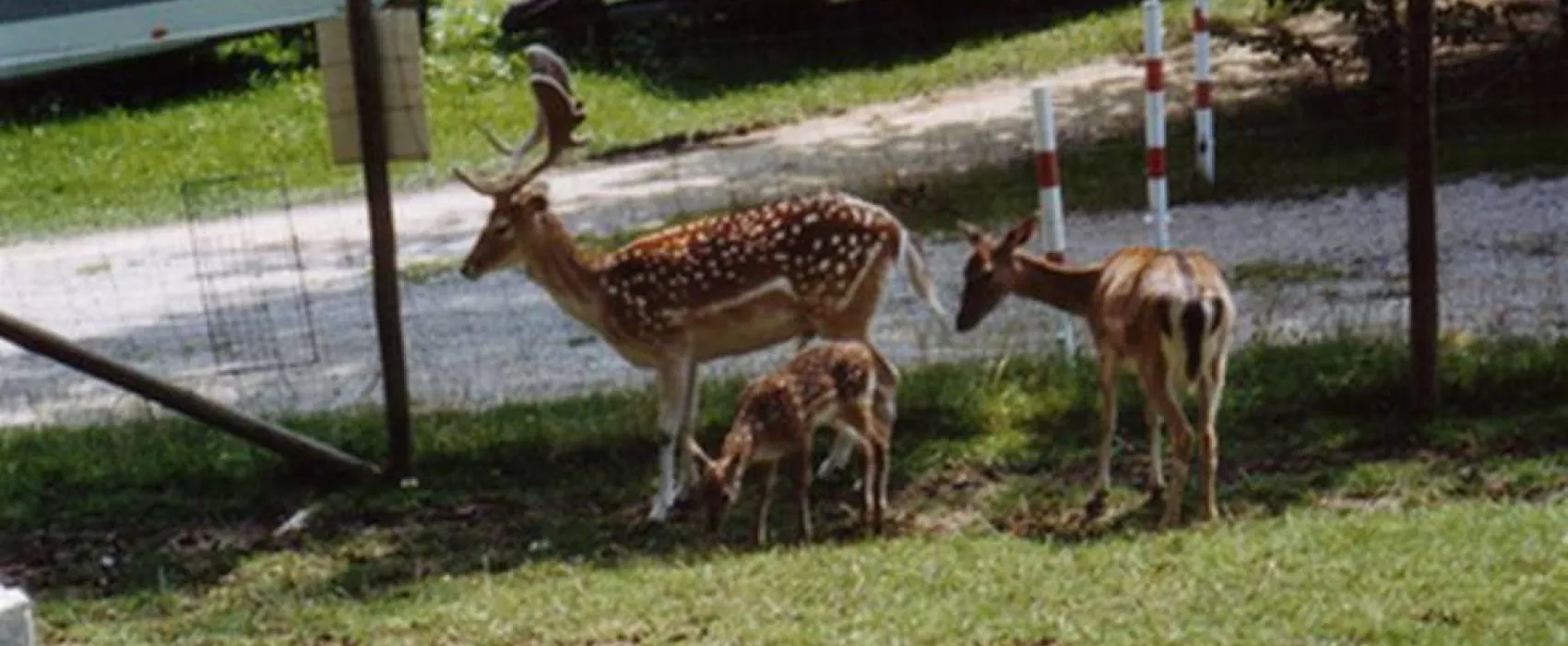 Campingplatz Sonnenhof