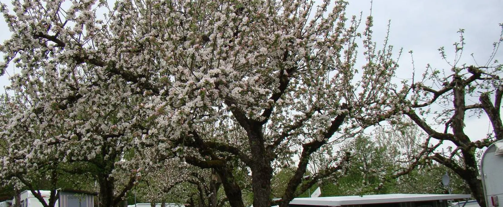 Camping Paul Walther