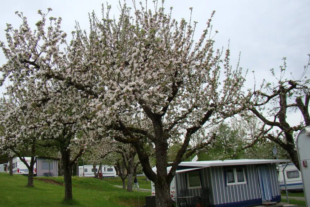 Camping Paul Walther