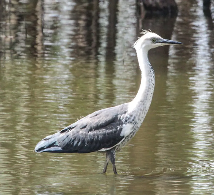 Lake Mournpall Campground