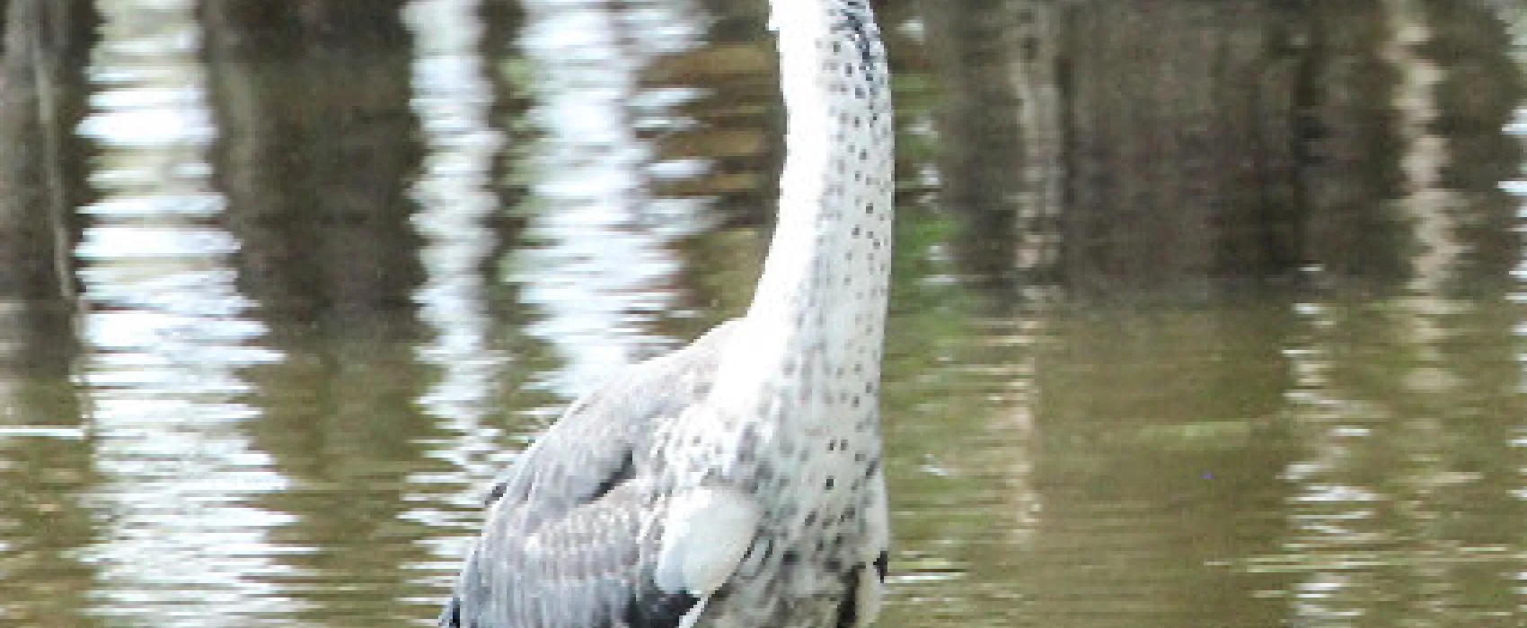 Lake Mournpall Campground
