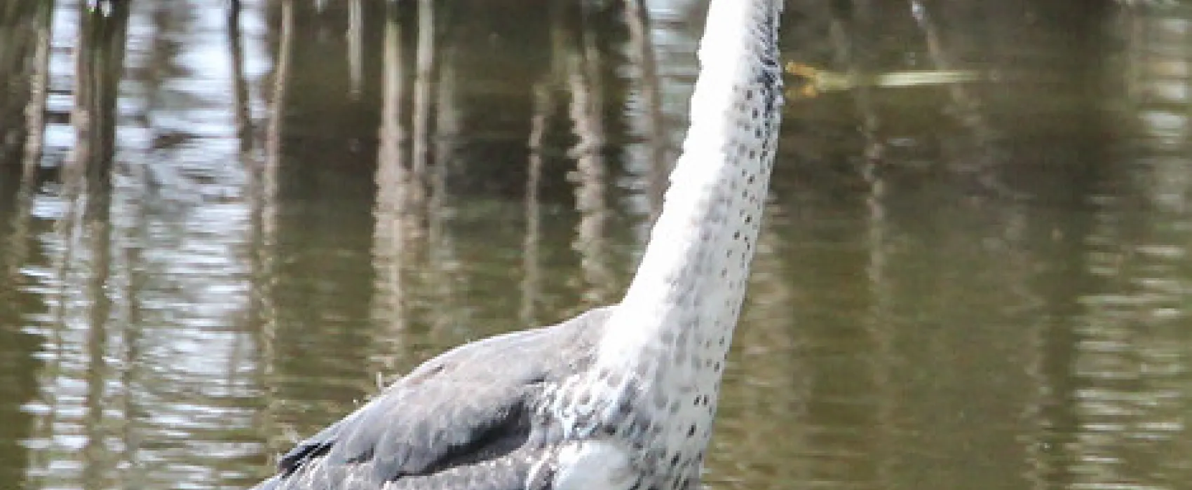 Lake Mournpall Campground