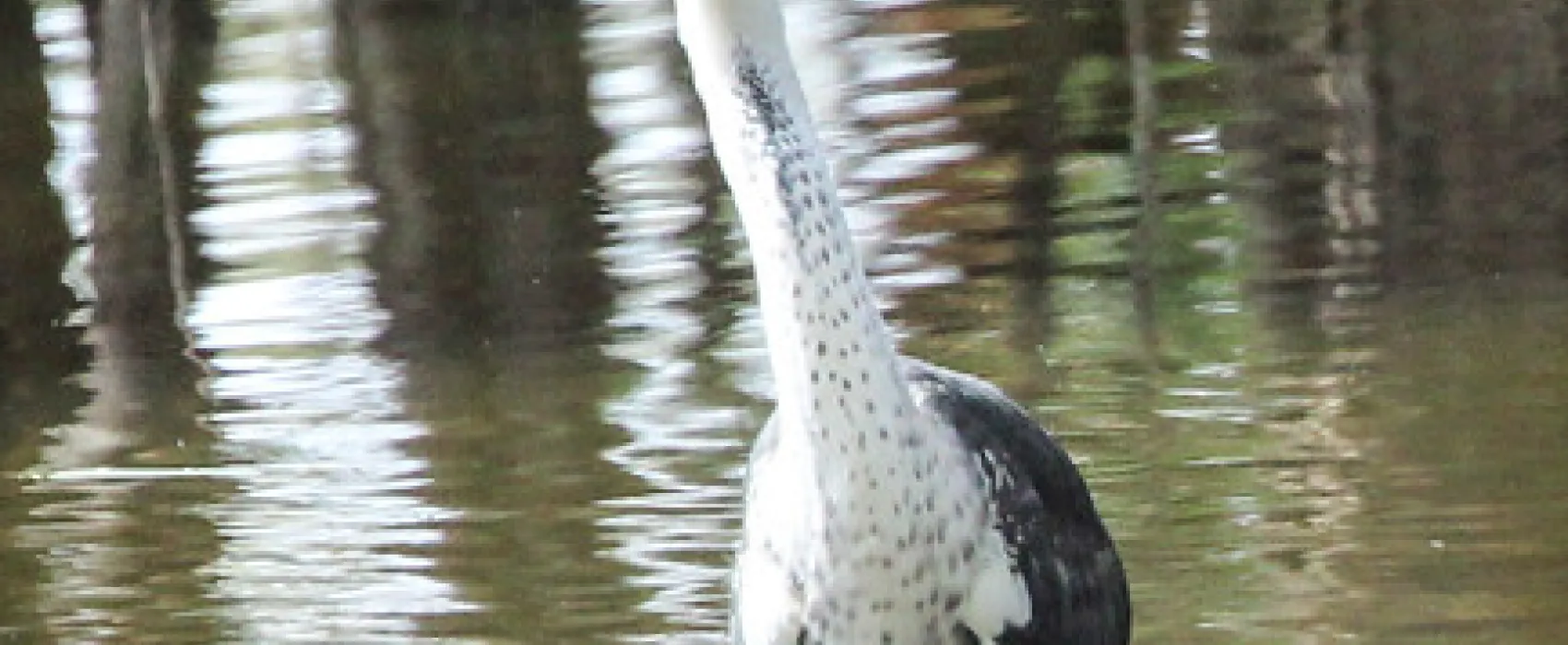 Lake Mournpall Campground