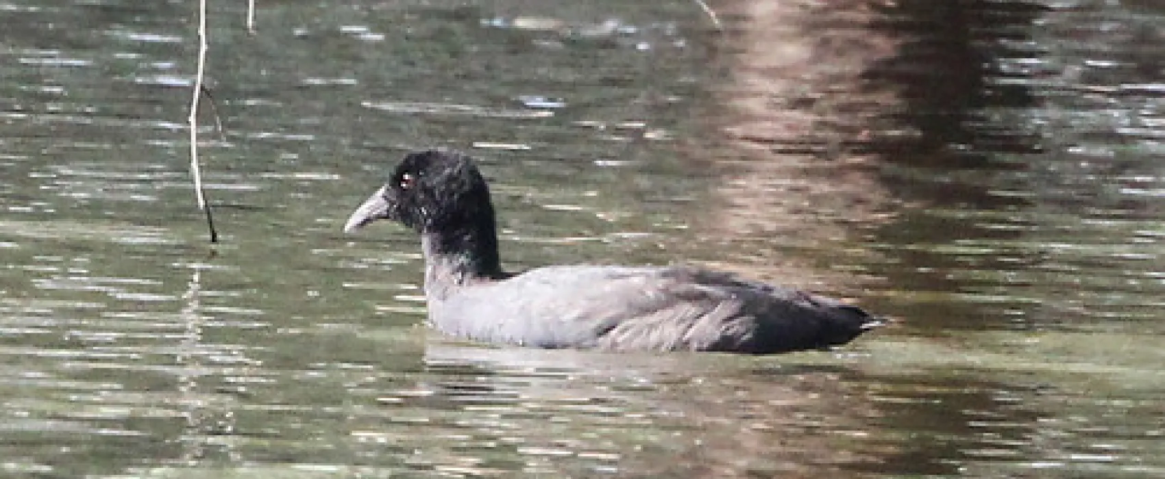 Lake Mournpall Campground